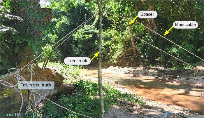 Suspension bridge pylon made of a tree trunk